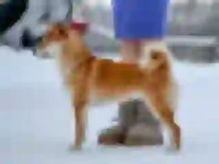 Delizzy "Deli" Dogsmith