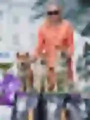 Dogsmith kennel. Shiba Inu puppies